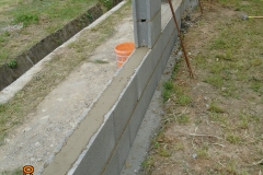 Képek 019