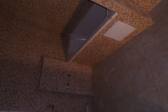 DSC08886